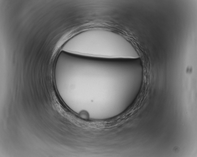 X0000115730004200911121136