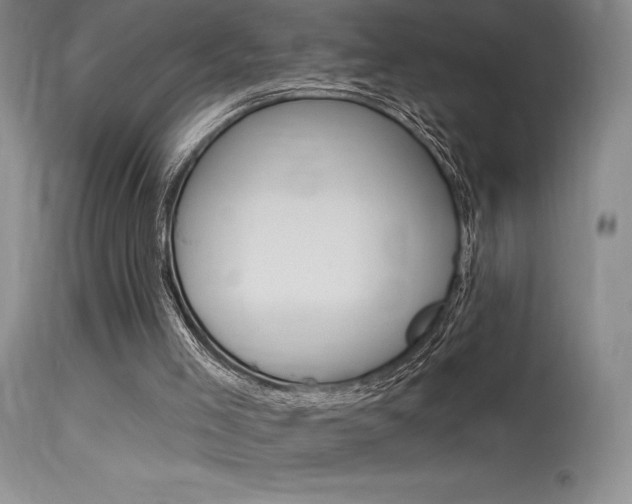 X0000115730005200911121136