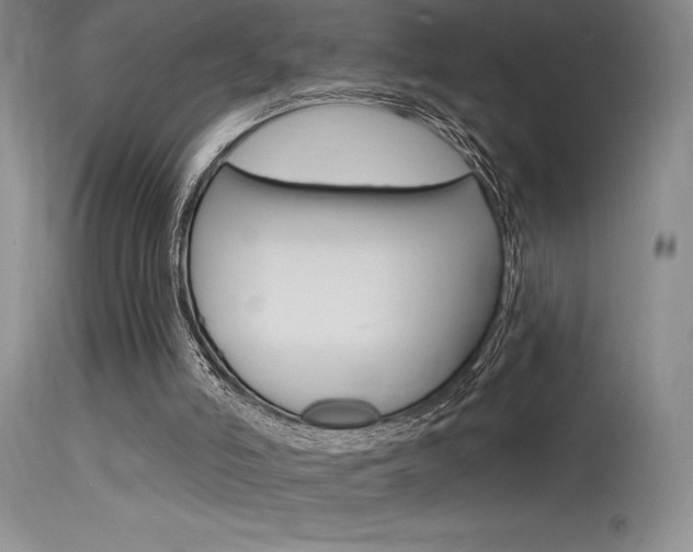 X0000115730006200911121136
