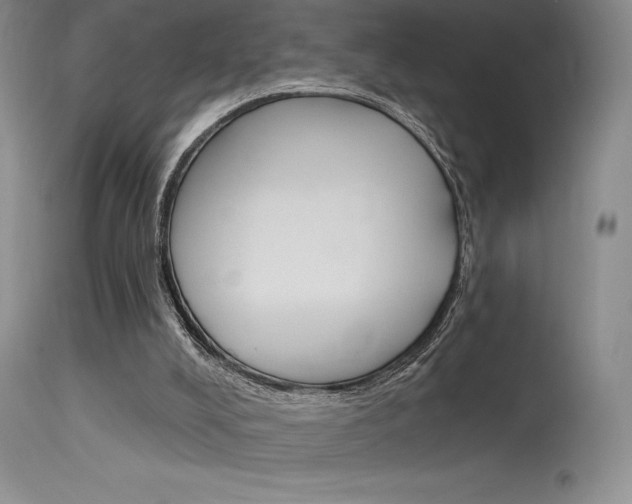 X0000115730008200911121136