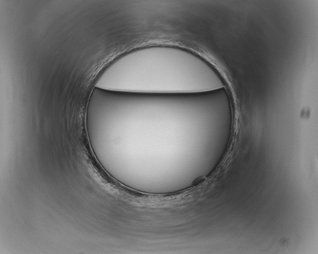 X0000115730009200911121136