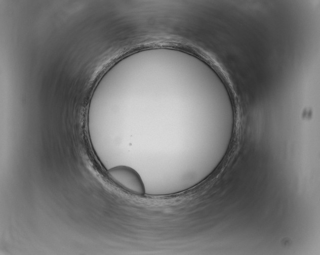X0000115730010200911121136