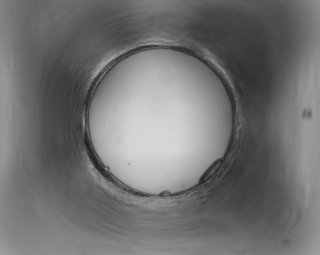 X0000115730011200911121136