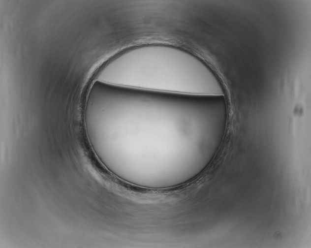 X0000115730012200911121136