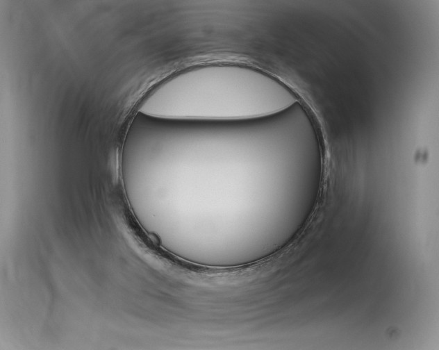 X0000115730013200911121136