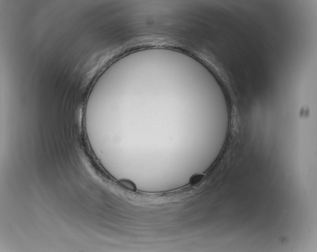 X0000115730014200911121136