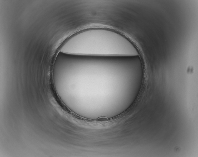 X0000115730015200911121136