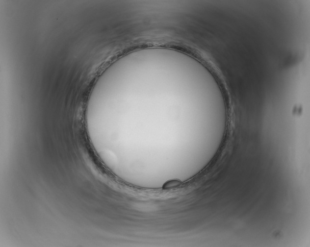 X0000115730018200911121135