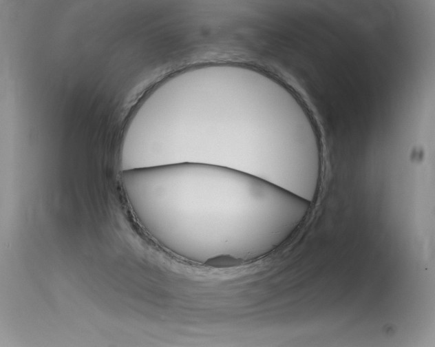 X0000115730019200911121135