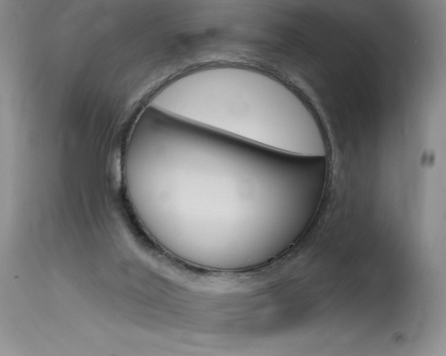 X0000115730020200911121135
