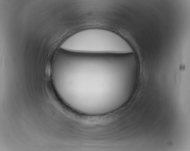 X0000115730021200911121135