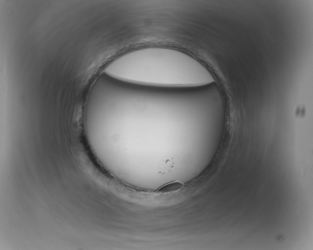X0000115730023200911121135