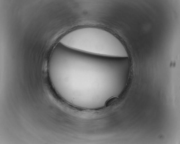 X0000115730024200911121135