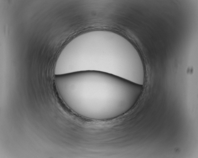 X0000115730025200911121135