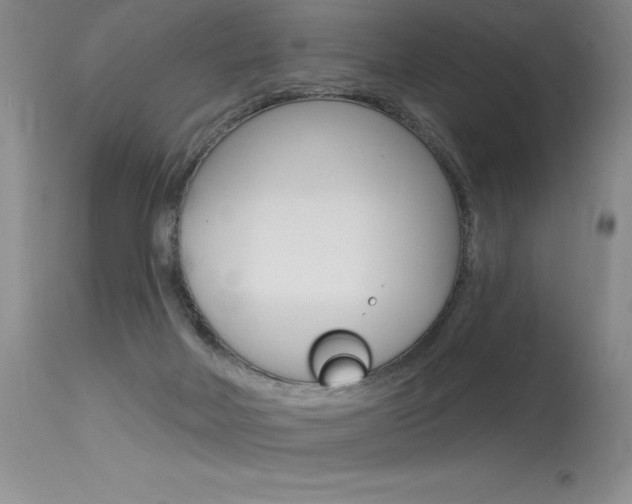 X0000115730026200911121135