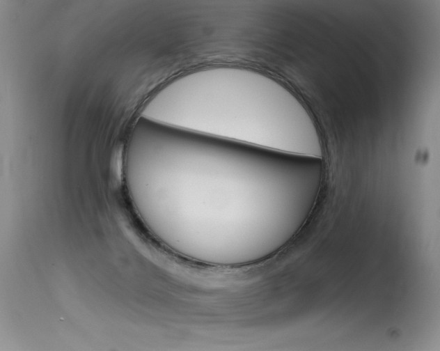 X0000115730028200911121135
