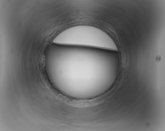 X0000115730029200911121135