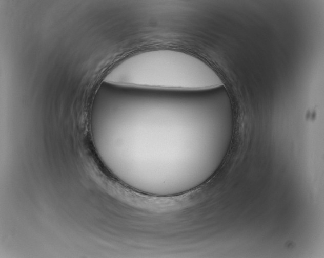 X0000115730031200911121135