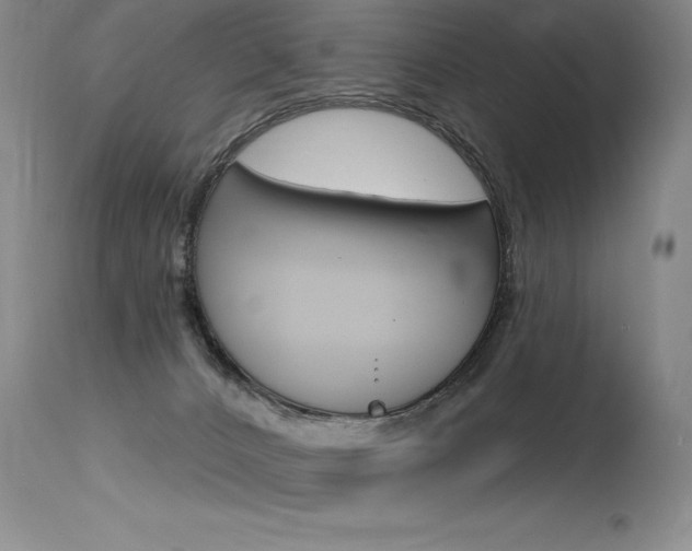 X0000115730032200911121135