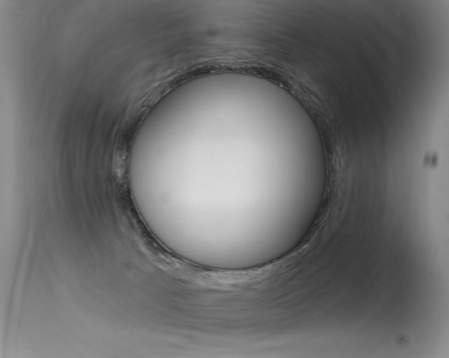 X0000115730033200911121135