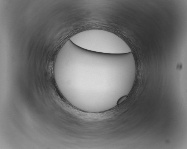 X0000115730034200911121135