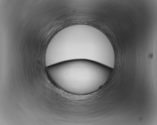 X0000115730035200911121135