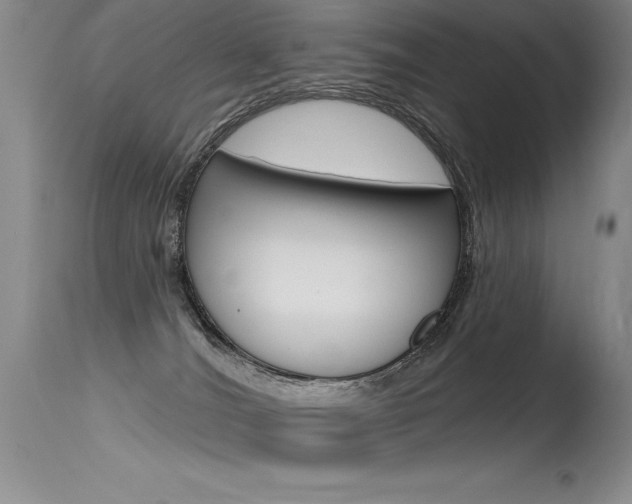 X0000115730036200911121135