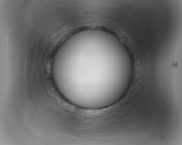 X0000115730037200911121135