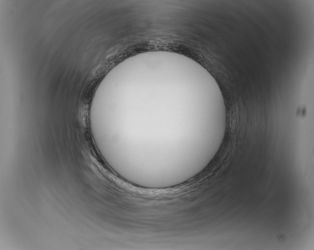 X0000115730038200911121135