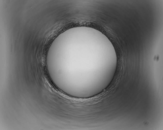 X0000115730039200911121135