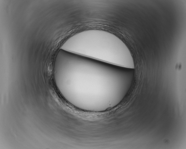 X0000115730040200911121135