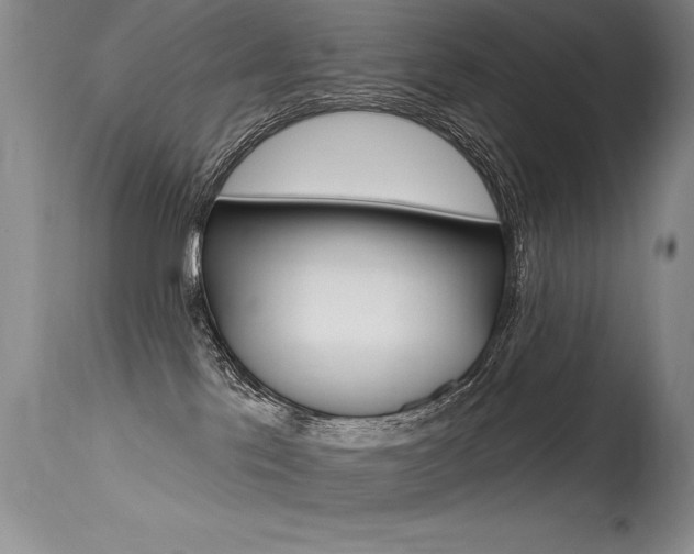 X0000115730041200911121135