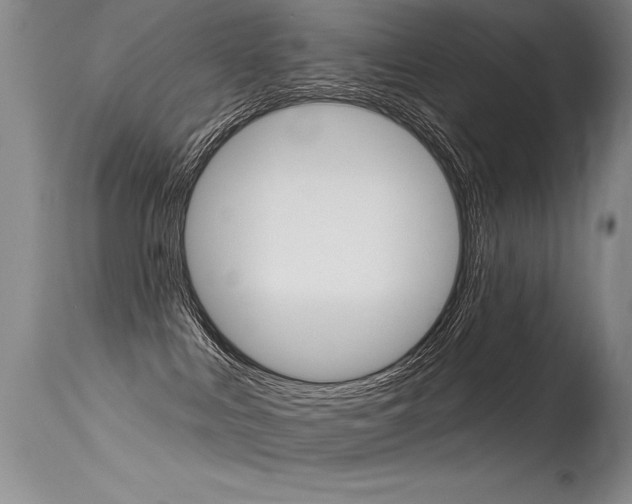 X0000115730043200911121135