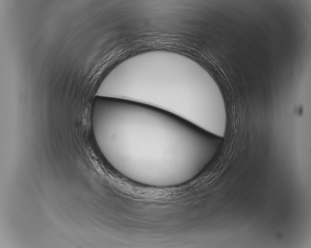 X0000115730044200911121135