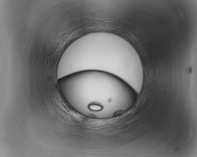 X0000115730045200911121135