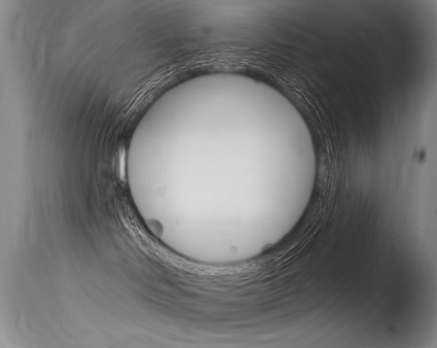 X0000115730046200911121135
