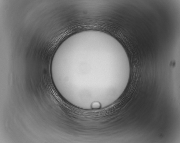 X0000115730047200911121135