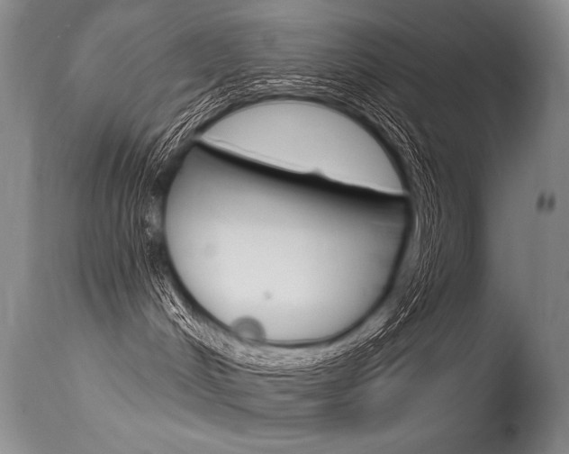 X0000115730048200911121135