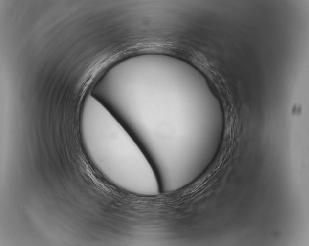 X0000115730050200911121134