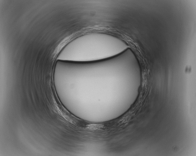 X0000115730051200911121134