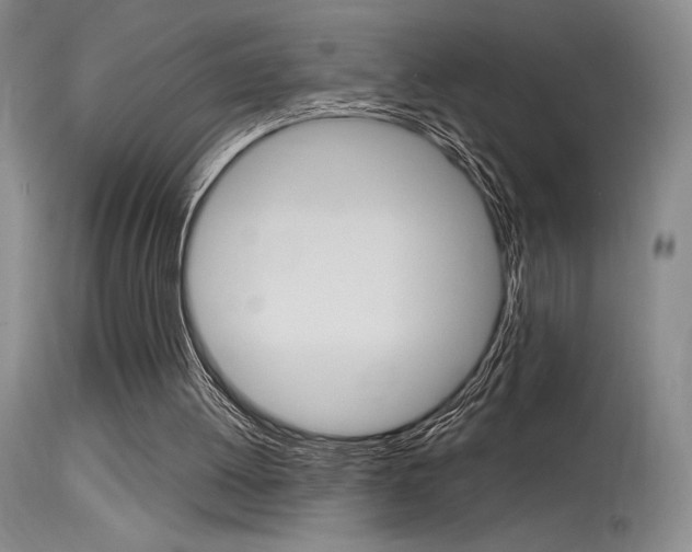 X0000115730052200911121134