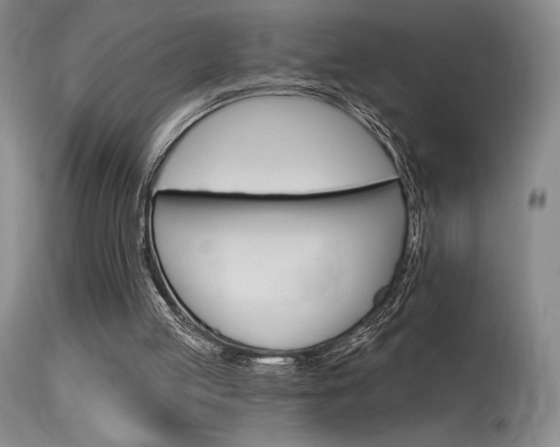 X0000115730053200911121134