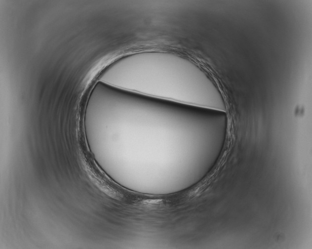 X0000115730054200911121134