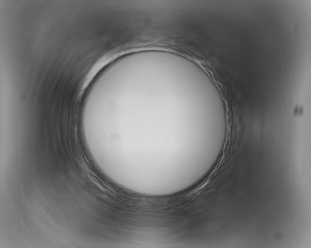 X0000115730056200911121134
