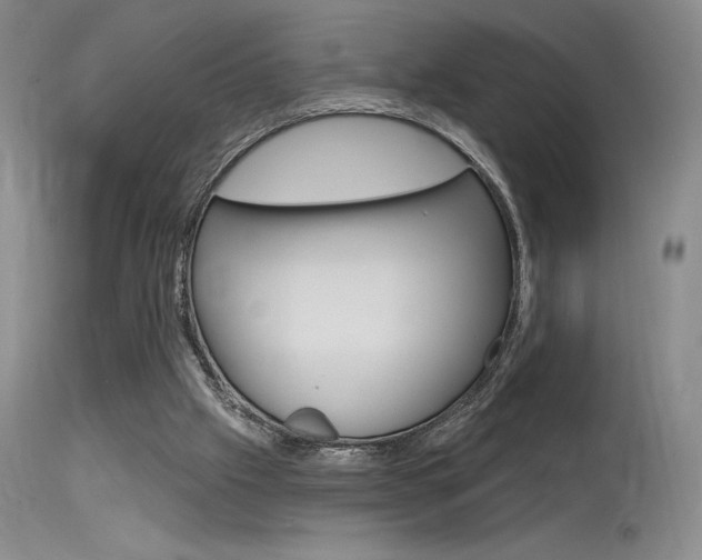 X0000115730057200911121134