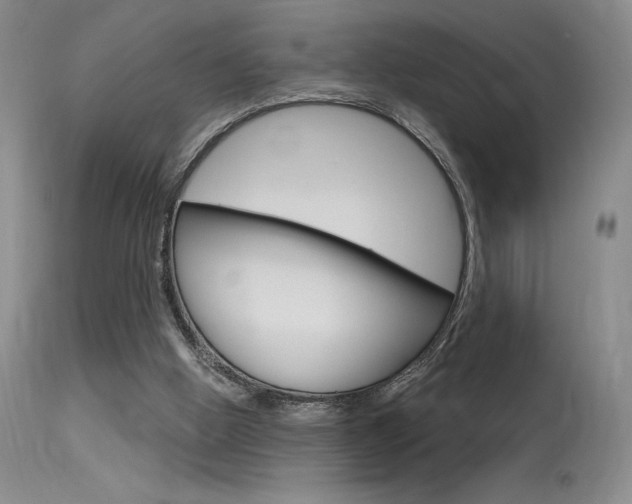 X0000115730058200911121134