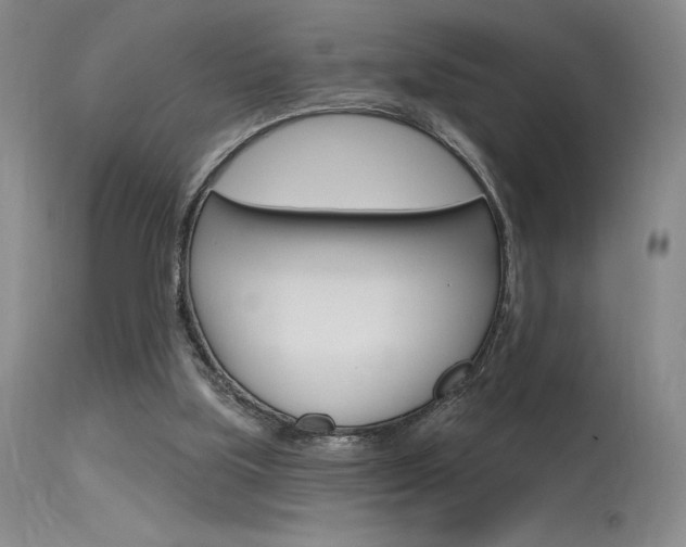 X0000115730059200911121134