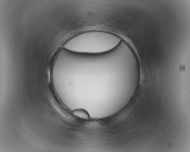 X0000115730061200911121135