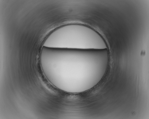X0000115730063200911121135