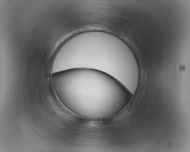X0000115730064200911121135